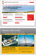 Website examples